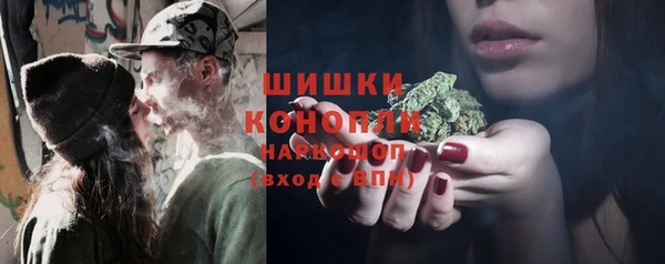 ГАЛЛЮЦИНОГЕННЫЕ ГРИБЫ Арсеньев