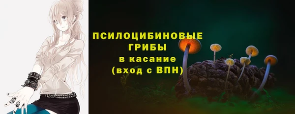 дживик Аркадак