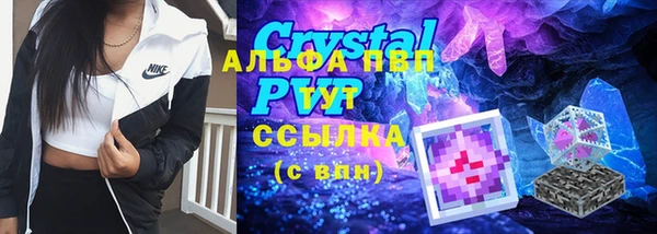 дживик Аркадак