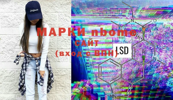 ГАЛЛЮЦИНОГЕННЫЕ ГРИБЫ Арсеньев