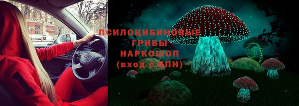 дживик Аркадак