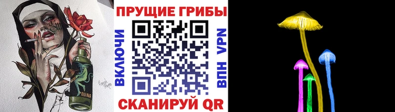 Галлюциногенные грибы MAGIC MUSHROOMS Починок
